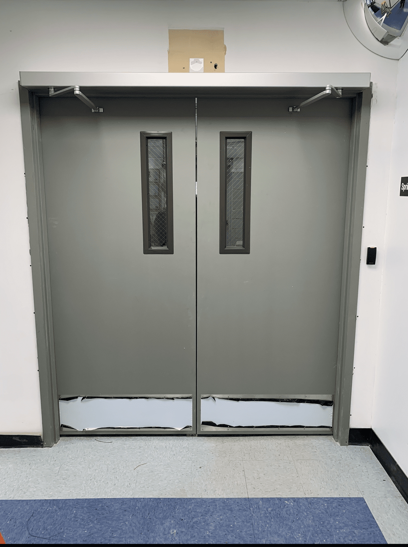 Gray double doors with small windows.